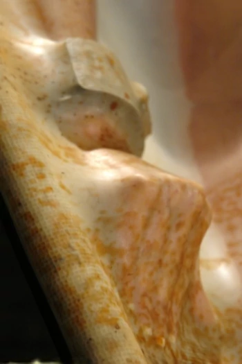 色情明星 Closeup Fetish
